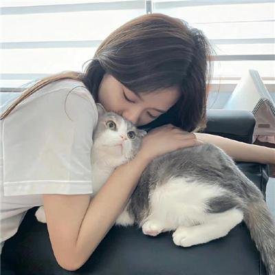 三狼奇案国语