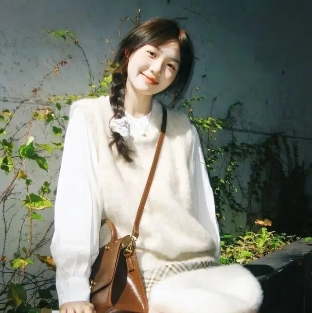 科搜研之女第23季